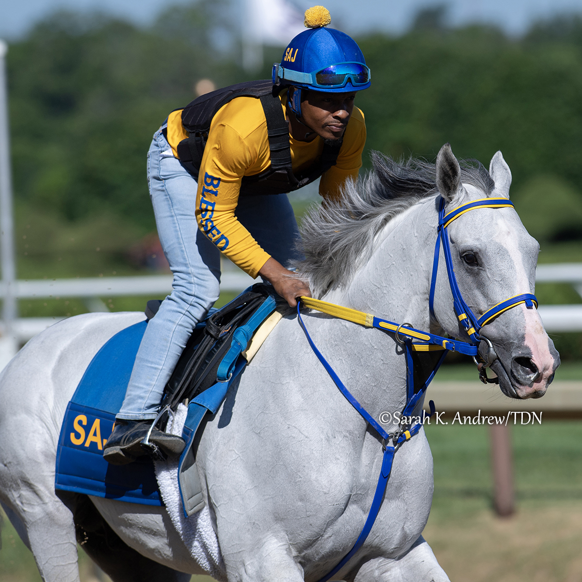 TDN (@thetdn) on Twitter photo ✨ Two years ago, the GI Whitney Stakes was a whiteout. As in White Abarrio (Race Day), who crushed the field by 6 1/4 lengths.
Fast forward to now and the 6-year-old is back for another run in Saturday's $1 million Whitney. The race is highlighted by a unique matchup between ✨ Two years ago, the GI Whitney Stakes was a whiteout. As in White Abarrio (Race Day), who crushed the field by 6 1/4 lengths.
Fast forward to now and the 6-year-old is back for another run in Saturday's $1 million Whitney. The race is highlighted by a unique matchup between