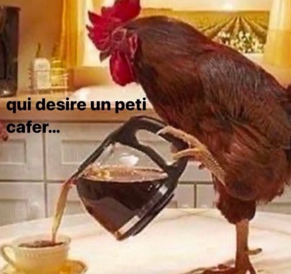 maximator tweet media