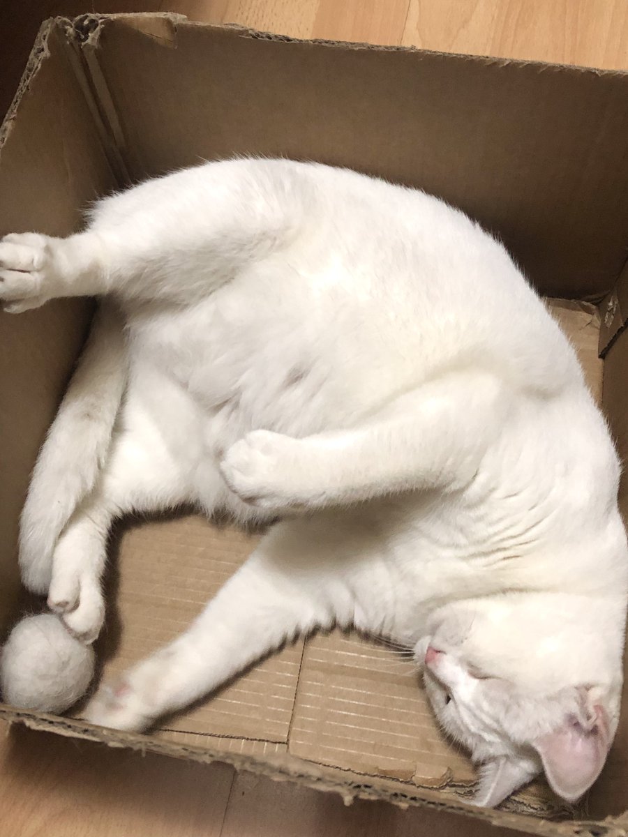 黄推福利内容 - 吊丝尸块姐的精彩图片 福利姬吊丝尸块姐分享的黄推图片3 - 网红私拍内容