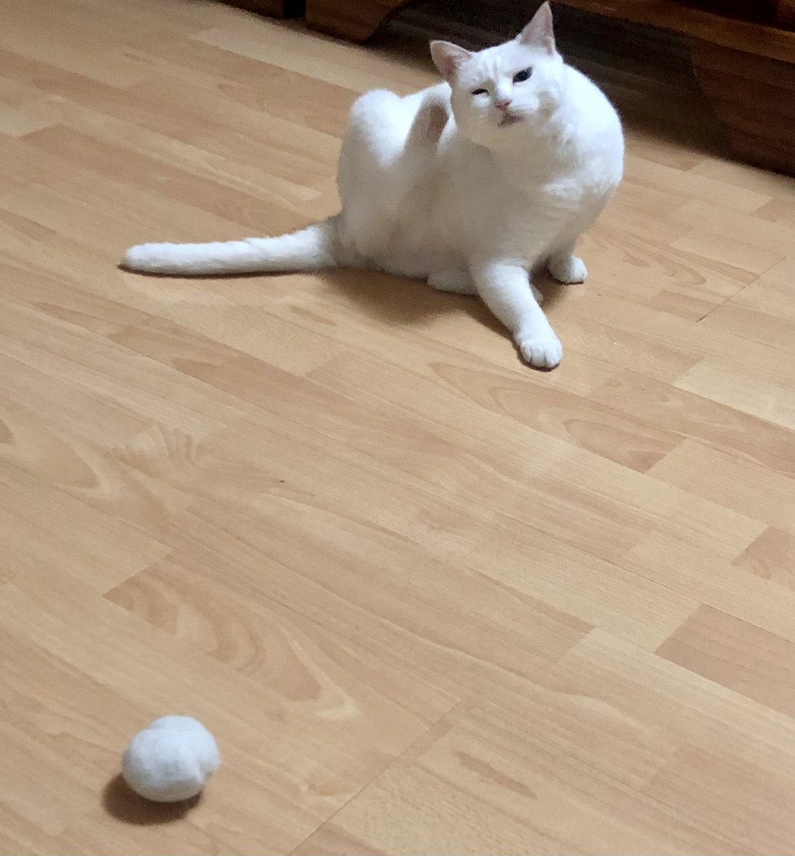 黄推福利内容 - 吊丝尸块姐的精彩图片 福利姬吊丝尸块姐分享的黄推图片2 - 网红私拍内容