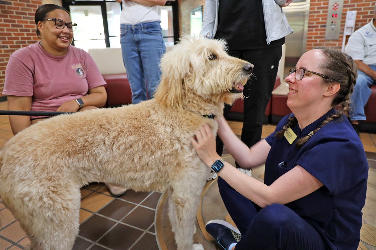 Florida State University tweet media