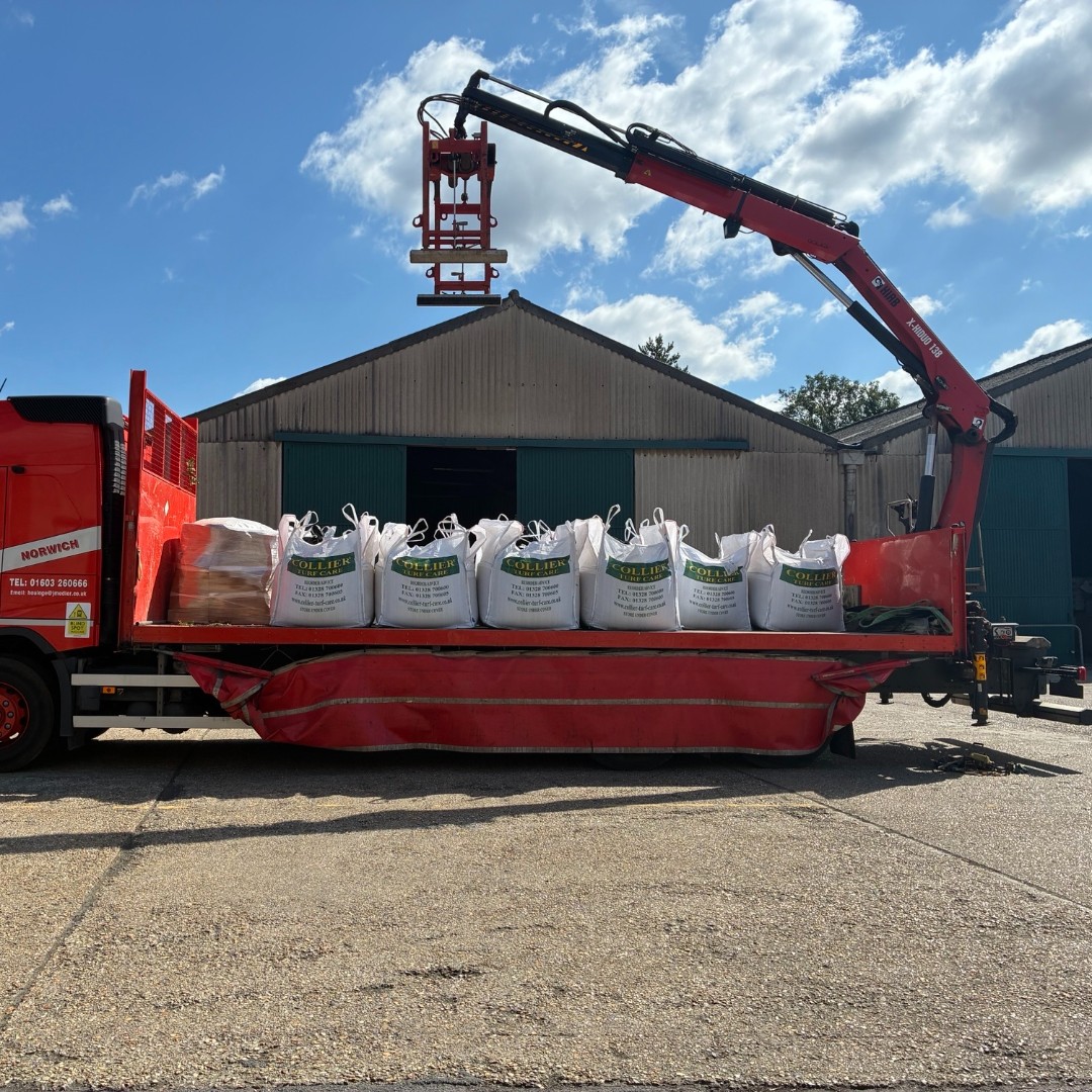 The first bulk bags of Tru-Turf Top Dressing being sent out in preparation for autumn renovations🚛
ow.ly/7KAS50Wy5cq