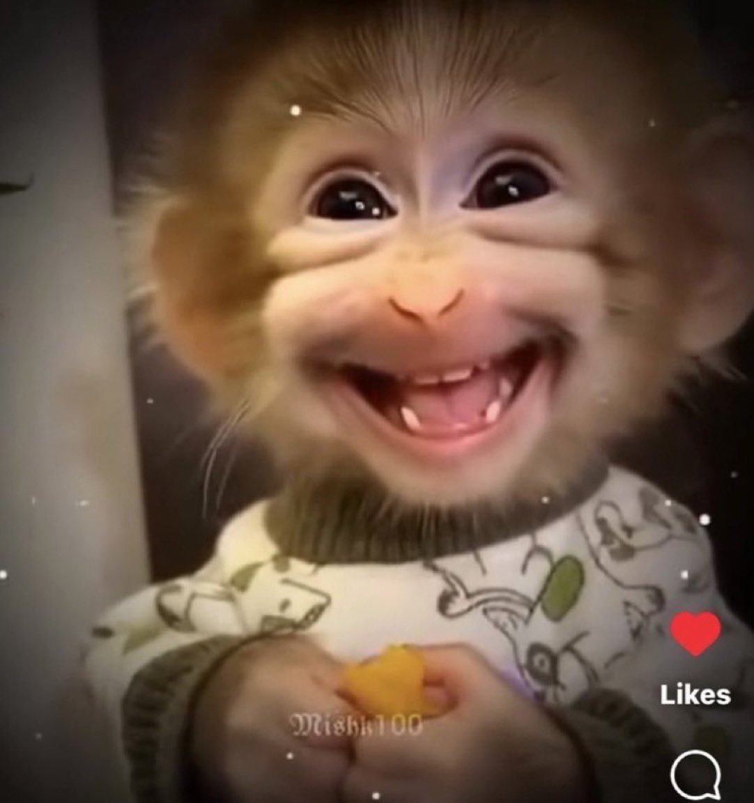 sh0tguncarous3l's tweet image. #TRUDAT!