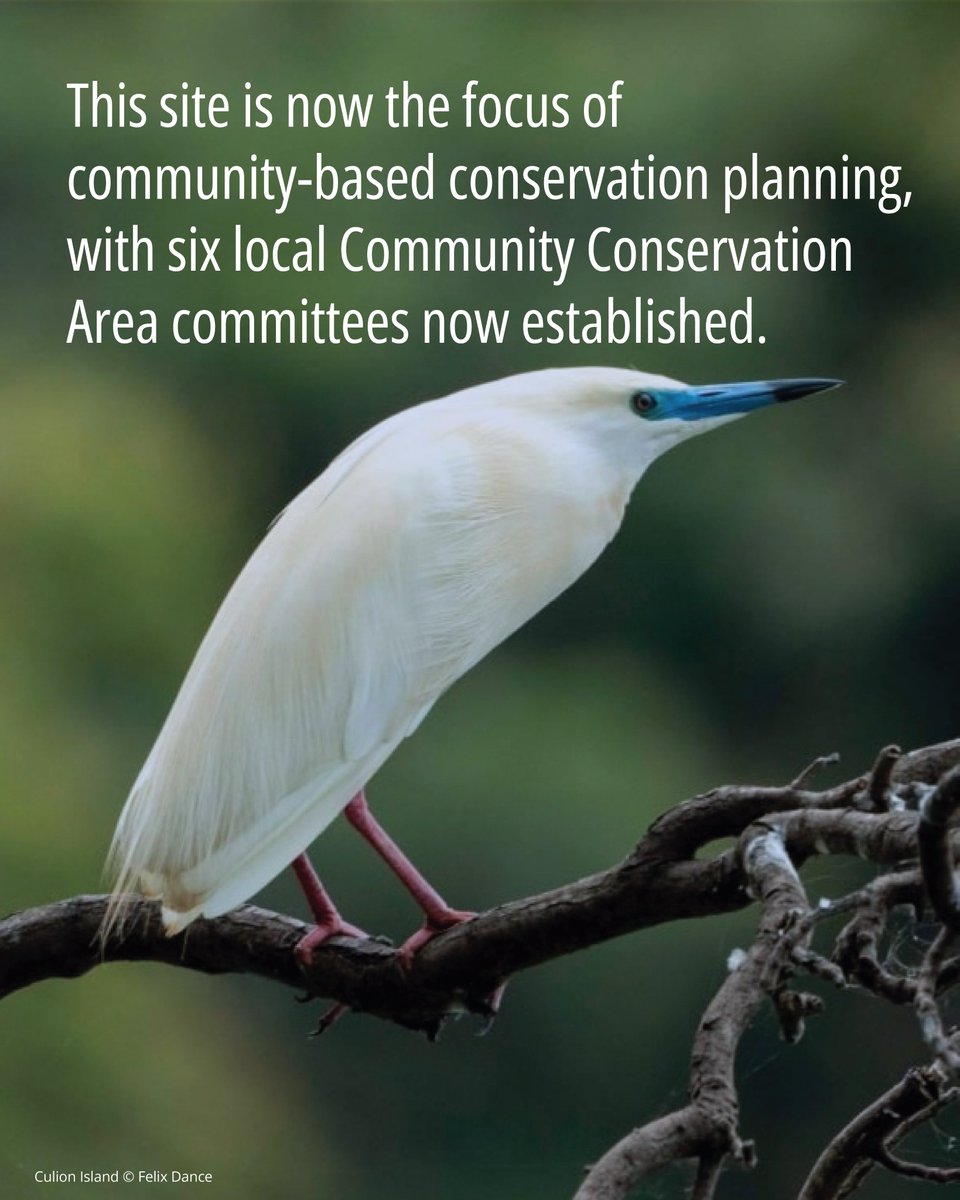 📄#CaseStudies |🐘In 2024, Malawi's Elephant Marsh Ramsar Site was recognised as a new global #KBA. This site is now the focus of community-based conservation planning, with 6 local Community Conservation Area committees now established.

🔗 bit.ly/4nPGfKA