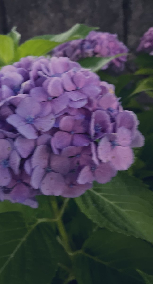 04/L/kanto/🆓
友だちも欲しいな🙋🏻‍♀️
 #セクマイさんと繫がりたい 
 #レズビアンさんと繋がりたい 
 #いいねした人フォローする