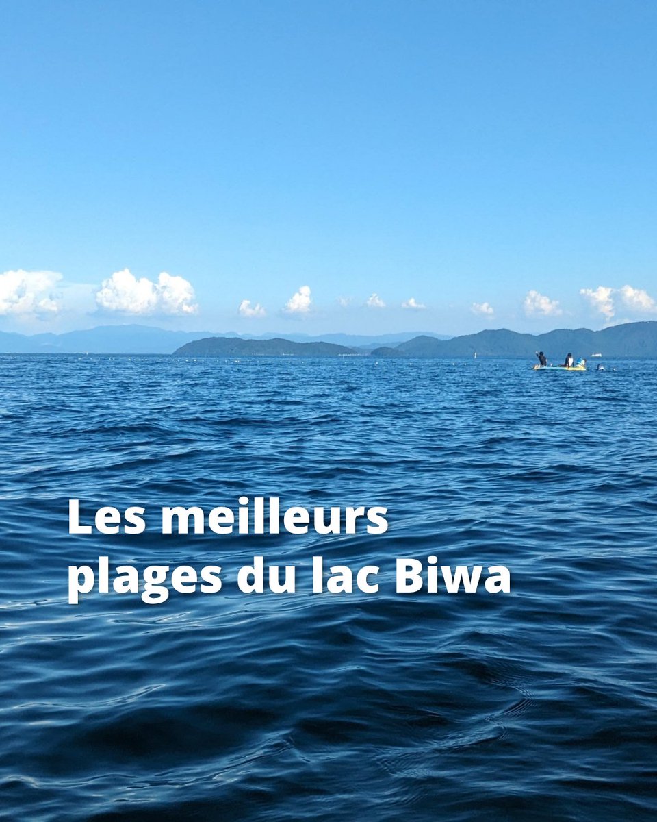 Japan Experience ✈️ tweet media