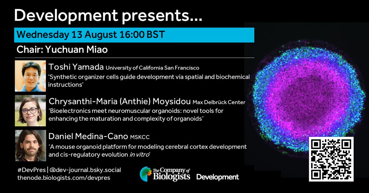 Development (@dev_journal) on Twitter photo Our upcoming #DevPres webinar focusses on stem cells and organoids, with talks from Toshi Yamada (UCSF), Chrysanthi-Maria (Anthie) Moysidou (Max Delbrück Center) & Daniel Medina-Cano <a href="/DanielMedinaC12/">Daniel Medina Cano</a> (<a href="/MSKCancerCenter/">Memorial Sloan Kettering Cancer Center</a>).
13 August 16:00 BST
Register here: us02web.zoom.us/webinar/regist… Our upcoming #DevPres webinar focusses on stem cells and organoids, with talks from Toshi Yamada (UCSF), Chrysanthi-Maria (Anthie) Moysidou (Max Delbrück Center) & Daniel Medina-Cano <a href="/DanielMedinaC12/">Daniel Medina Cano</a> (<a href="/MSKCancerCenter/">Memorial Sloan Kettering Cancer Center</a>).
13 August 16:00 BST
Register here: us02web.zoom.us/webinar/regist…
