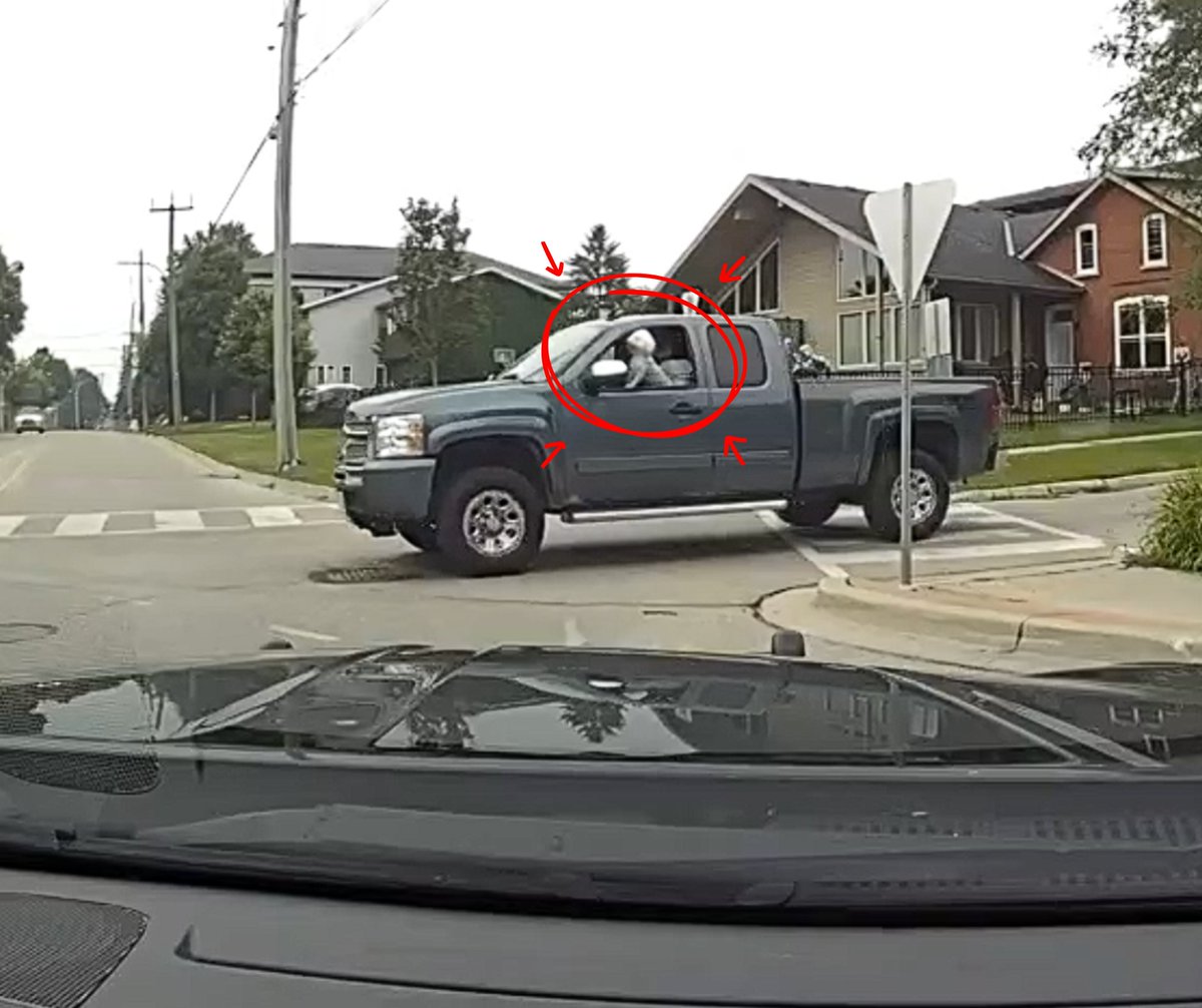 #WellingtonOPP – Did you know it is illegal to drive with a pet on your lap? 

This hinders your ability to safely operate your vehicle and could potentially endanger other drivers.

This driver was charged with: Drive while crowded ($110 fine that carries 3 demerit points).

If