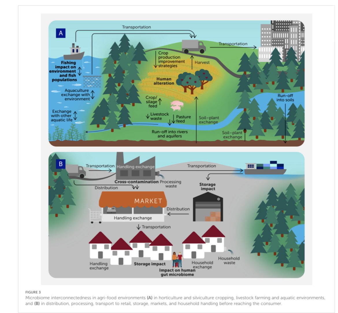 Paul Cotter (@pauldcotter) on Twitter photo Delighted that this paper “Harnessing agri-food system microbiomes for sustainability and human health” has been published today in the flagship <a href="/Frontiers/">Eric Zurrin</a> journal, Frontiers in Science, after lots of hard work over several months. Delighted that this paper “Harnessing agri-food system microbiomes for sustainability and human health” has been published today in the flagship <a href="/Frontiers/">Eric Zurrin</a> journal, Frontiers in Science, after lots of hard work over several months.