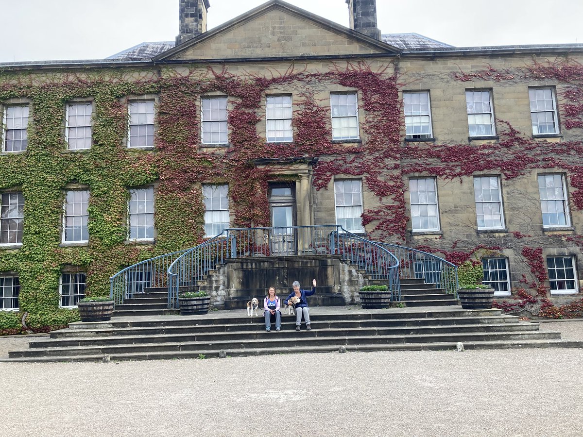 Pawsome last minute tweet up today at Erddig with Aunty J &amp; Sasha <a href="/Raffa2006/">🌈Angel Raffa🐞 Sasha Beagle🐞</a> 🐾🥰 Coffee and cake might have been involved 😋