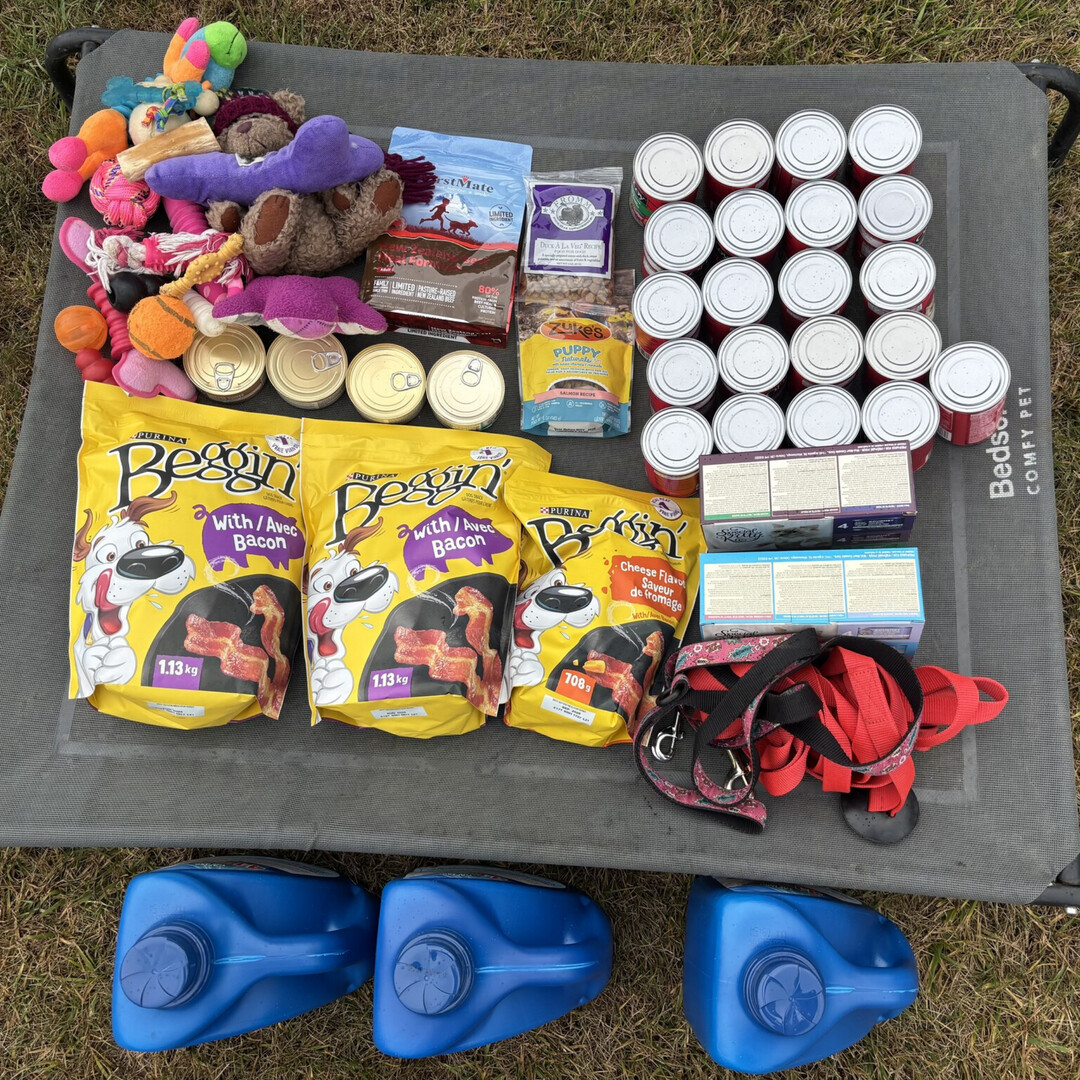Thank you, Emily for donating much needed supplies to our Welland shelter! 😊🐶😺