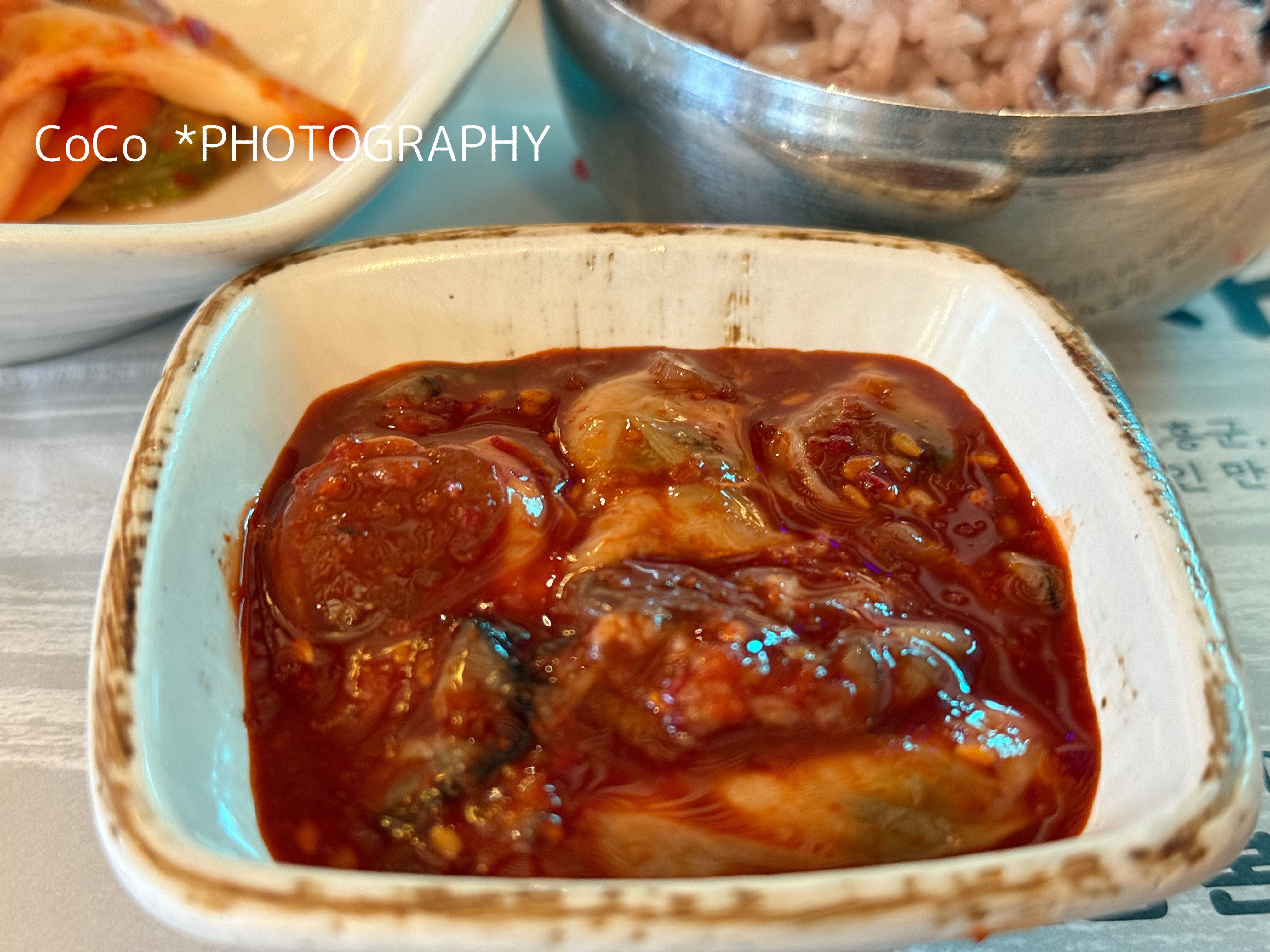 ＊cocoページになります＊ COCOちゃん イラストが毎ページ変わる日記帳