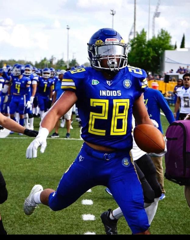 Mundo del Ovoide tweet media