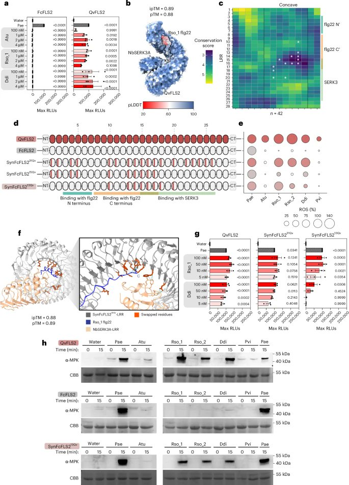 A new paper describes a rational way to engineer a *SINGLE PROTEIN* in plants to protect them against a wide range of pathogens.

The article features some synthetic biology experiments, a bit of computational modeling, and it's about plants. That makes it a winner in my book!