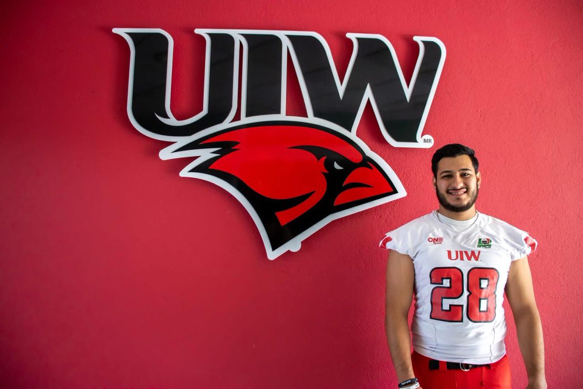 Mundo del Ovoide tweet media