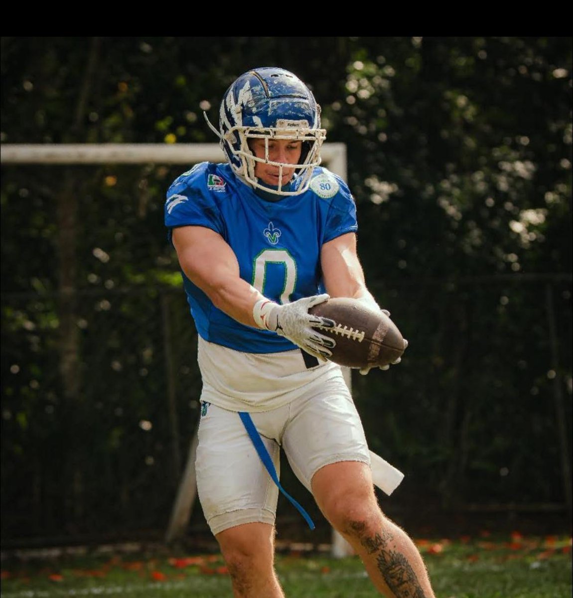 Mundo del Ovoide tweet media