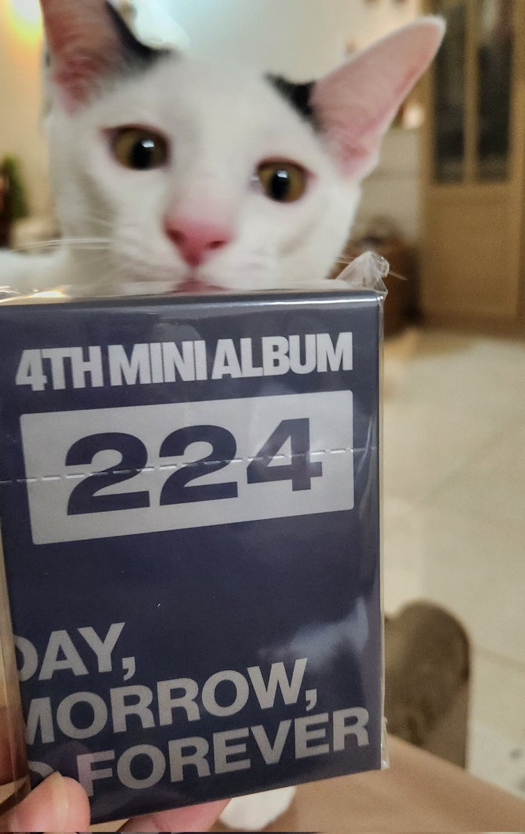 บั้มมาถึงแล้วน้า ใครที่ยังไม่ได้รีทวิตรีด่วนเลยค่า เดี๋ยวจะมาแจกพรุ่งนี้ค่ำๆ 💋🗝