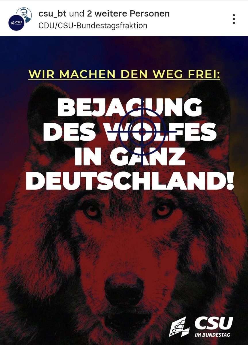 Storch_i tweet media