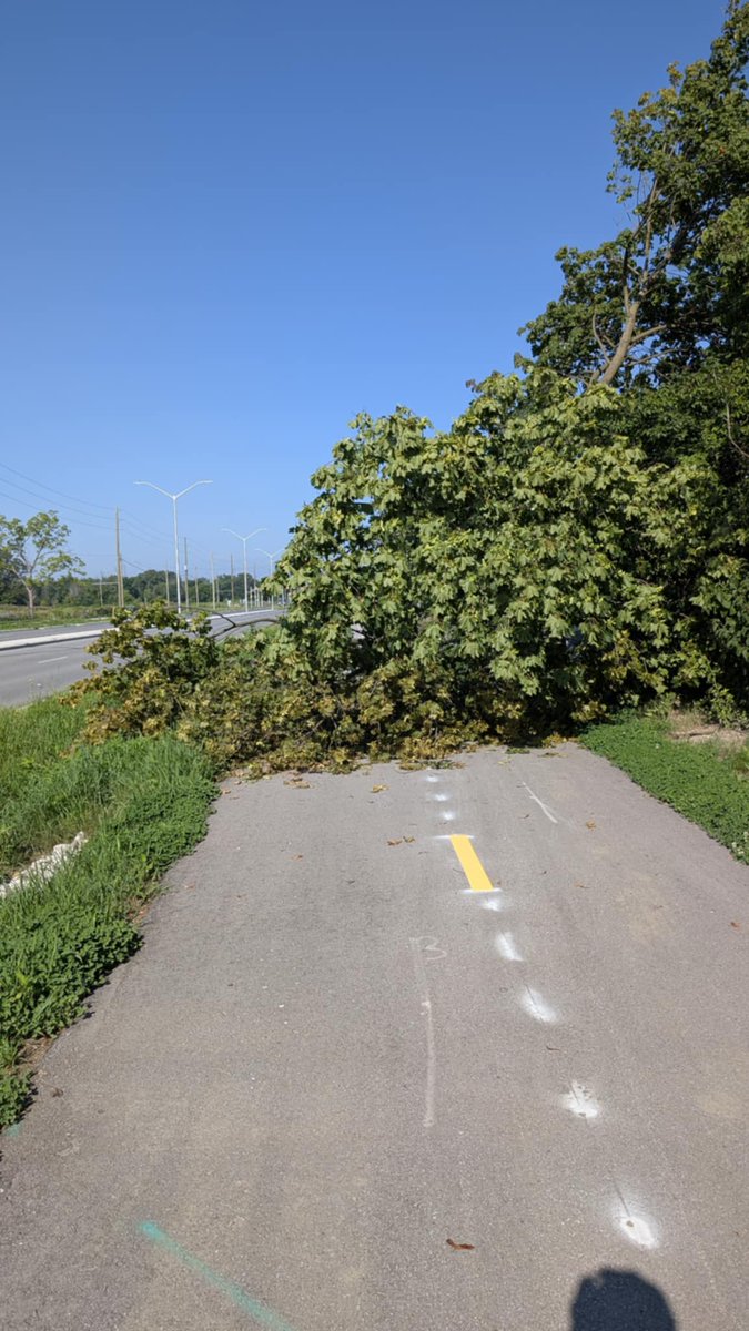 Dingman Road bike path has been blocked by a fallen tree for a week now. <a href="/CityofLdnOnt/">City of London</a>