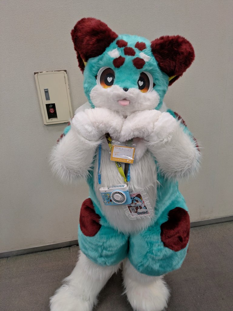 #みけこん2025なつ
チョコイちゃん！やっっっっっっっとお会いできました。かわええのです…ホント