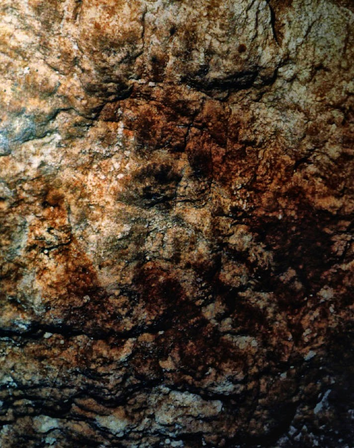 cultura_EXT's tweet photo. Las pinturas rupestres de la Cueva de Maltravieso, nominadas a Mejor Descubrimiento Histórico en los Premios Historia National Geographic.

🔗https://t.co/Vv0ubXaB3X https://t.co/IGaw0WydeZ