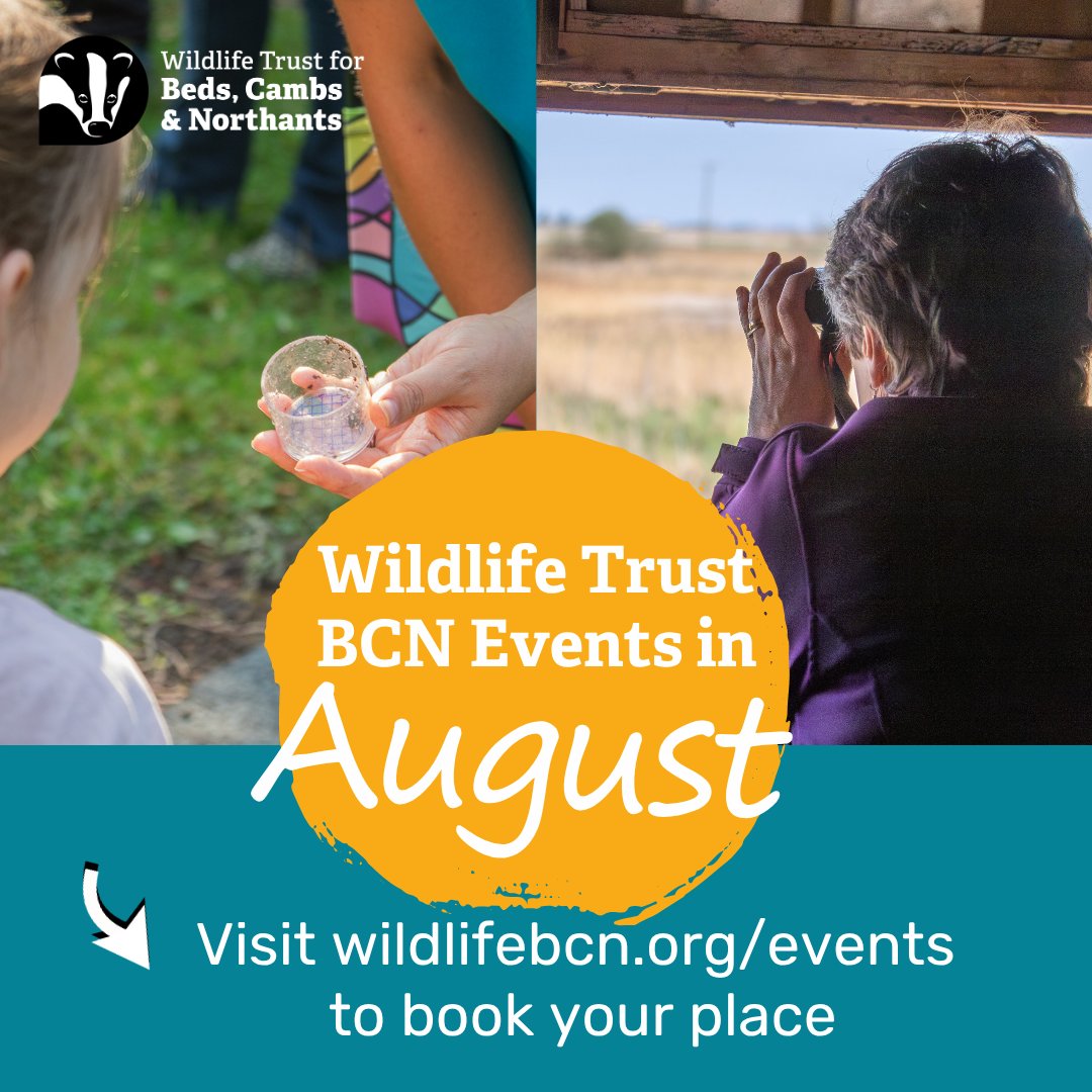 wildlifebcn's tweet photo. 4/4

Book at https://t.co/HFj8cIMYfU https://t.co/xZRwebKvix