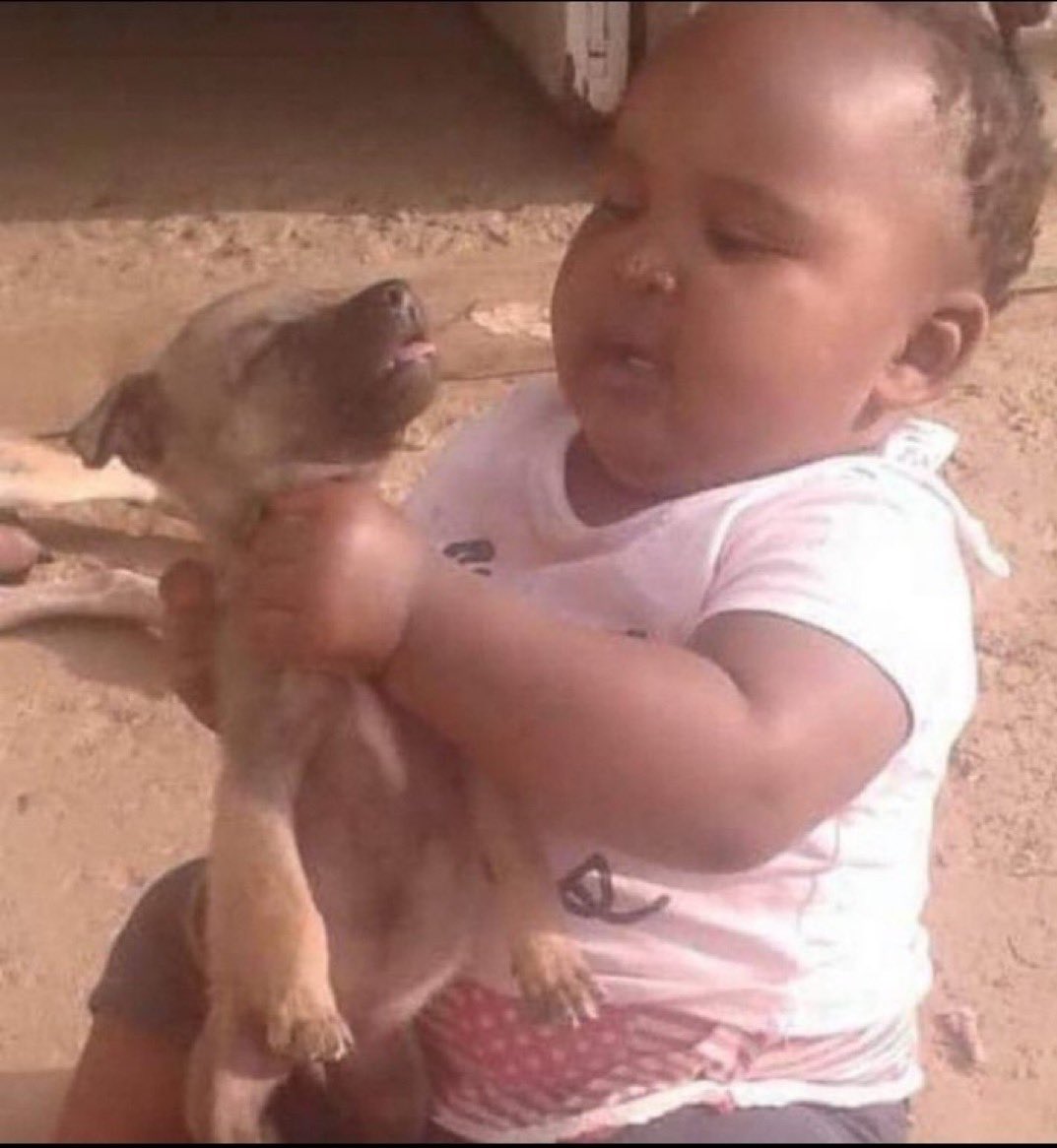 You and your wife don’t really talk and don’t share a bedroom but she’s pregnant every year. Do I look like a donkey to you? 🤔
Kumanina 😏