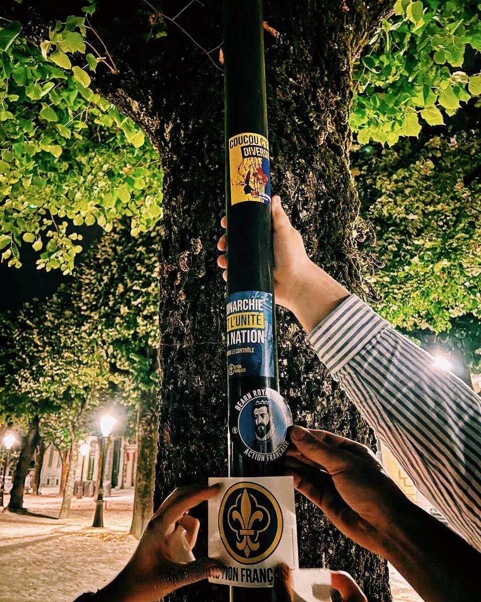 Action Française - Pau tweet media