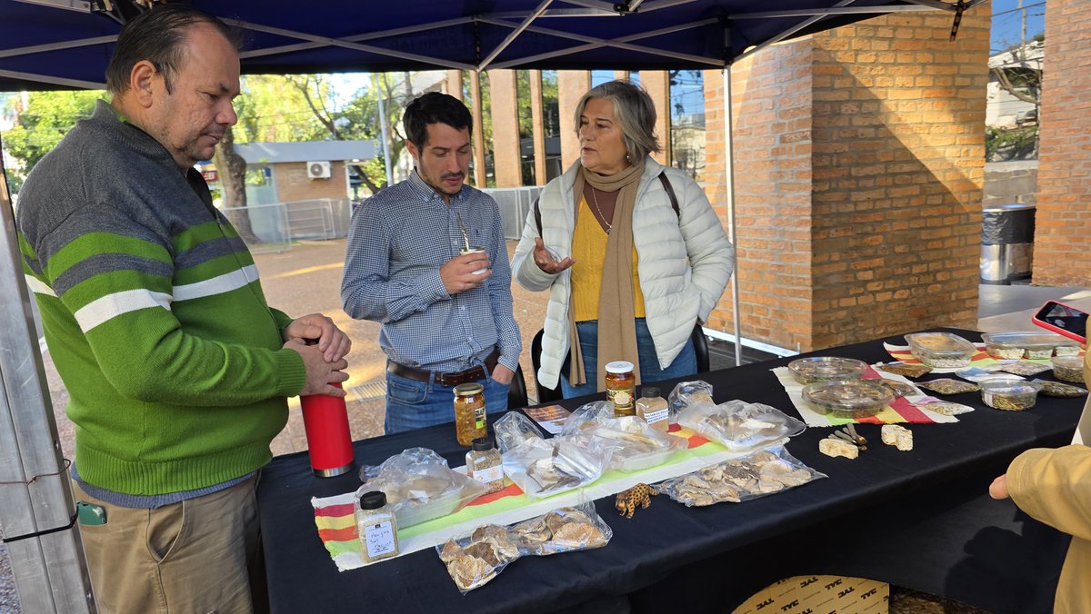 Hoy estuvimos en <a href="/diputadosMis/">Diputados Misiones</a> ofreciendo una charla sobre #FungaMisionera en el marco de las actividades por el Lema del Año 2025. Gracias a la Diputada <a href="/AstridBaetke/">Astrid Baetke</a> por la invitación y la posibilidad de poner en valor a los #hongos de #Misiones 
👩🏽‍💻Nota completa en nuestra web