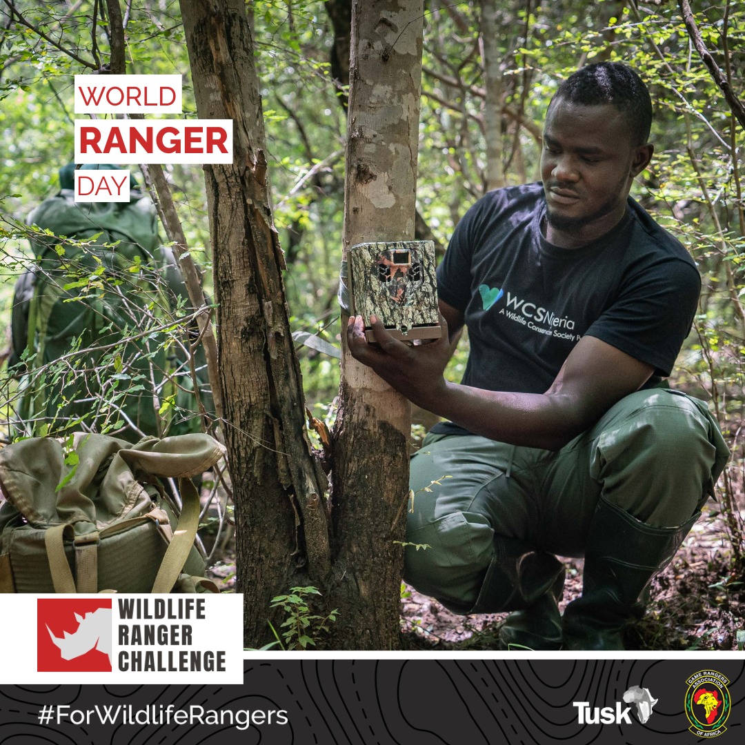 WCS_Nigeria's tweet image. 🌍 World Ranger Day 2025

Supported by WCS, rangers are on the frontline of law enforcement, wildlife protection and community engagement.

We call for recognition and investment in the people who risk their lives to protect our shared planet.

We stand #ForWildlifeRangers