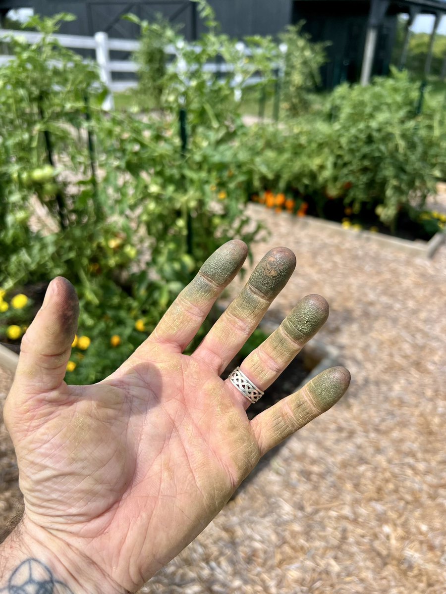 It’s good to work in the garden… #gardentherapy #garden