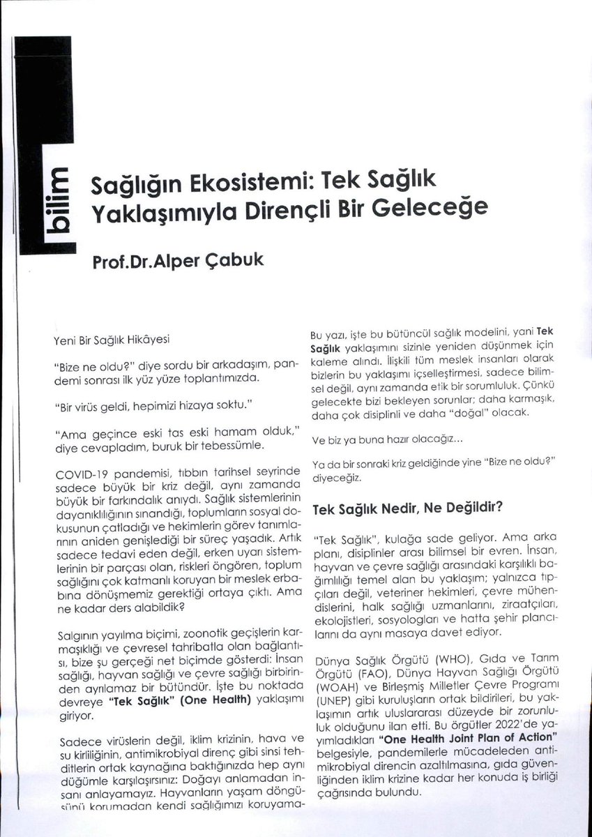 alper cabuk (@alperinpostasi) on Twitter photo 