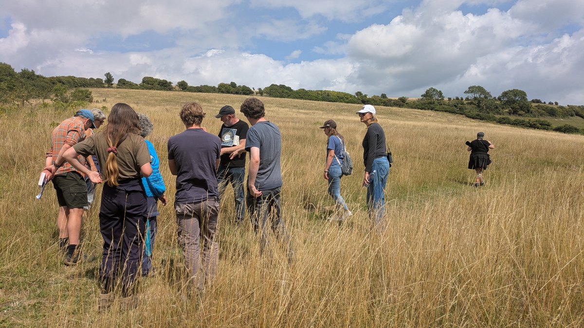 National Plant Monitoring Scheme (@thenpms) on Twitter photo What better way to spend the day?! Learning about chalk grassland species in West Sussex, from Derek <a href="/budding/">Samantha:)</a>.nature. Thanks so much to all volunteers that joined us last weekend at the stunning Wolstonbury Hill.
#chalkgrassland #botany #wildflowers #npms10 What better way to spend the day?! Learning about chalk grassland species in West Sussex, from Derek <a href="/budding/">Samantha:)</a>.nature. Thanks so much to all volunteers that joined us last weekend at the stunning Wolstonbury Hill.
#chalkgrassland #botany #wildflowers #npms10