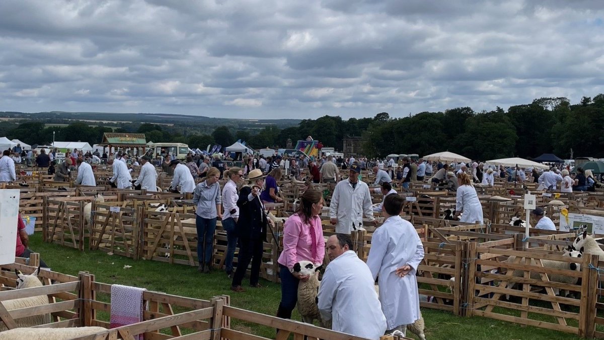 Harrowells (@harrowells) on Twitter photo This week we had a fabulous day at the <a href="/RyedaleShow/">Ryedale Show</a> the stunning setting of <a href="/Historic_Houses/">Historic Houses</a> Duncombe Park in Helmsley.
Our agricultural legal team was out in force - all sharing tea, cake, and advice with visitors to our stand. This week we had a fabulous day at the <a href="/RyedaleShow/">Ryedale Show</a> the stunning setting of <a href="/Historic_Houses/">Historic Houses</a> Duncombe Park in Helmsley.
Our agricultural legal team was out in force - all sharing tea, cake, and advice with visitors to our stand.