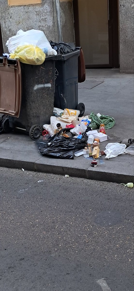 Vivir en una ciudad que no esté llena de mierda está sobrevalorado.