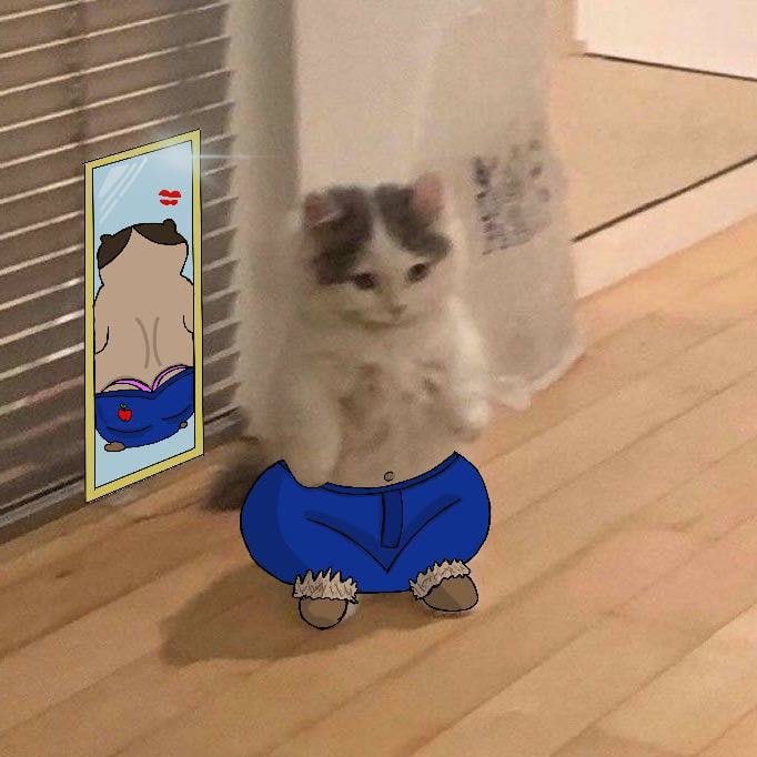 my jeans are blue.