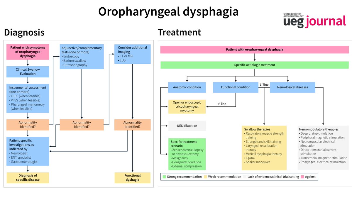 UEGJournal's tweet photo. Struggling to manage patients with dysphagia despite normal gastroscopy results? 🤔 

Discover the latest UEG and ESNM guidance on oesophageal and oropharyngeal dysphagia! 

🌟📚 Highlights in the 📸 ⬇️⬇️⬇️

Dive into the details now: https://t.co/1OO3CE9oLl 

@my_ueg @esnm_eu https://t.co/5YhvM9PFdk