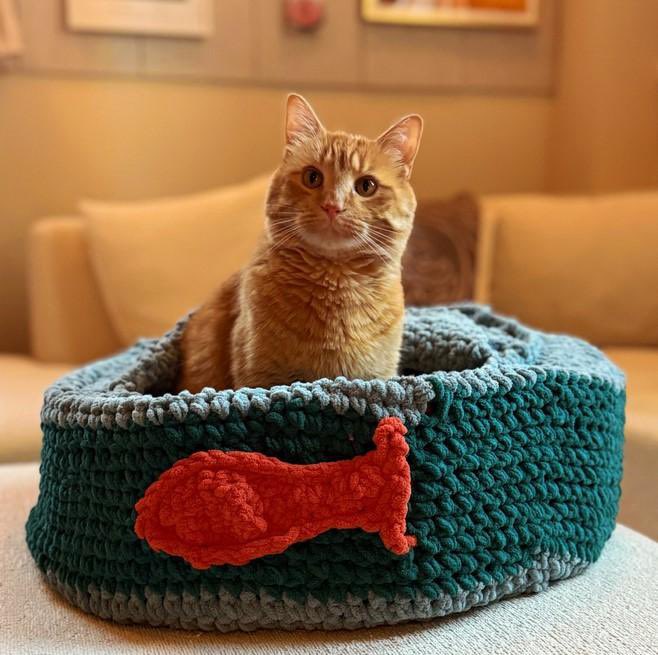 Soft Side (@softside1) on Twitter photo Ain’t Neville a great name? Take cool adoptable Neville at <a href="/felinerescueinc/">Feline Rescue</a> (Twin Cities area)! This handsome rogue’s a dashing & fearless fellow who’ll tirelessly protect your home from toys, cat food, & invisible foes. Any rumors he’s “scared by loud noises” are Lies! (More 👇) Ain’t Neville a great name? Take cool adoptable Neville at <a href="/felinerescueinc/">Feline Rescue</a> (Twin Cities area)! This handsome rogue’s a dashing & fearless fellow who’ll tirelessly protect your home from toys, cat food, & invisible foes. Any rumors he’s “scared by loud noises” are Lies! (More 👇)