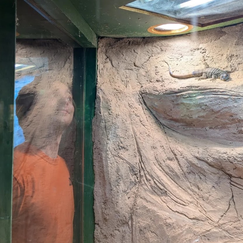 How was this more than a week ago! #Throwback to our trip to #DraytonManor #ThrowbackThursday