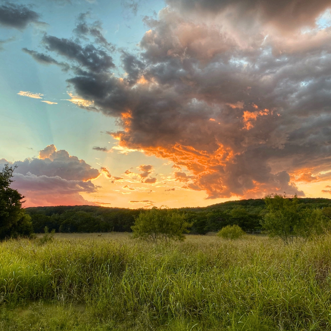 RiverstoneLand's tweet photo. Sometimes the best part of owning land is watching the sun go down on your own slice of Texas. Peaceful. Quiet. Yours.

Drop a 🌄 if you’d end your day here. https://t.co/pwmdYH543g
