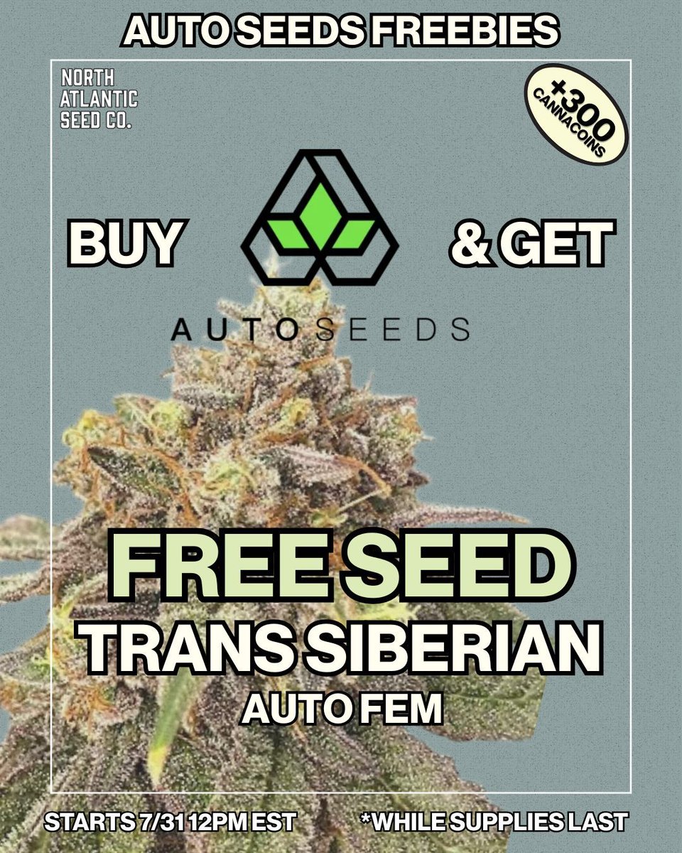 N_A_S_C_'s tweet image. Breeder of the Week: Auto Seeds 🔥

Get A FREE Trans Siberian Auto Fem Seed With Every Auto Seeds Pack Purchased! 🚨 

+Be Entered To Win An Auto Seeds Pack Of Choice And More! 👀 

&amp;amp; Get 300 Bonus Cannacoins! 🪙 

7/31 12PM - 8/7 12PM EST, No sales through social media