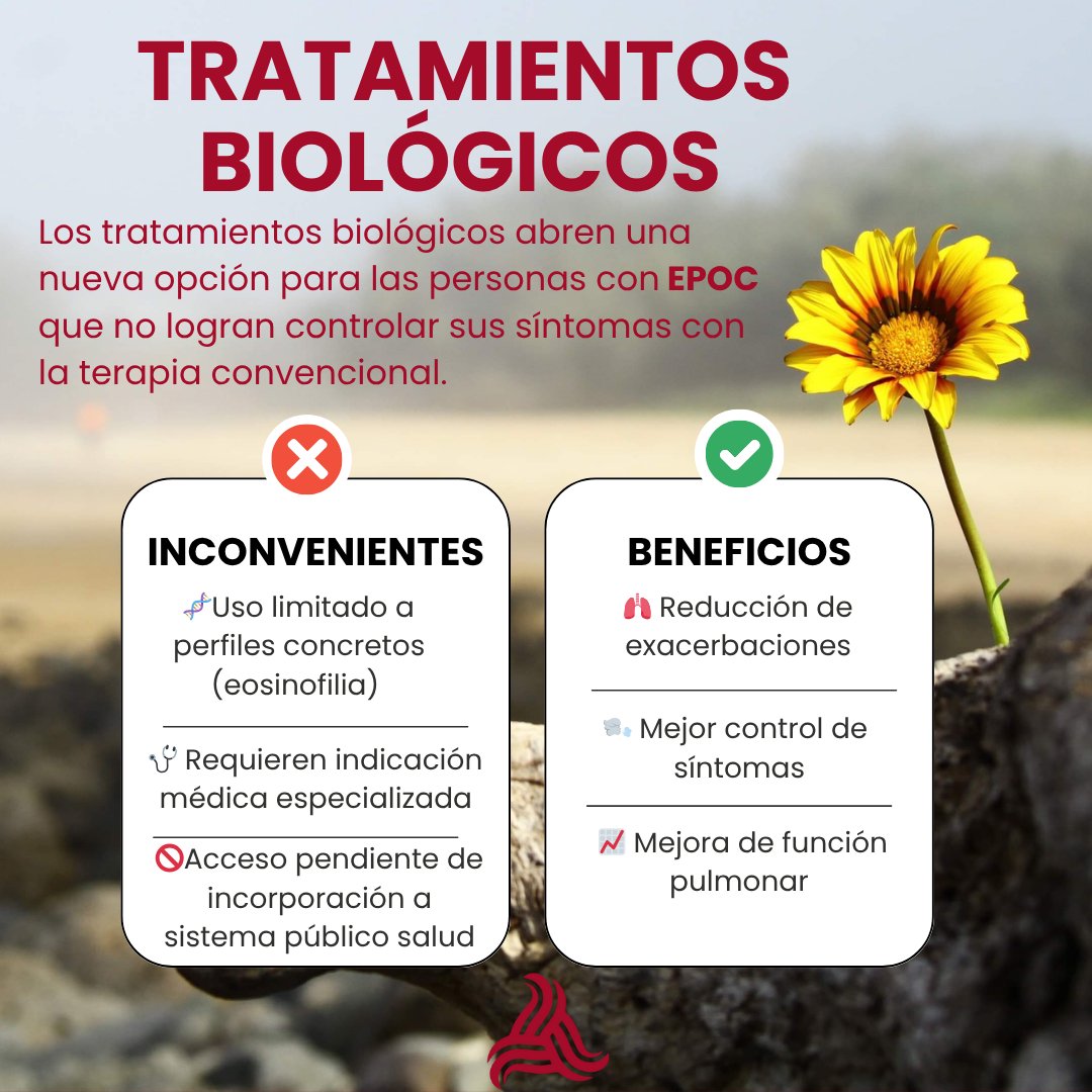 🧬 Tratamientos biológicos y EPOC: una nueva vía terapéutica

Los tratamientos biológicos abren una nueva opción para las personas con EPOC que no logran controlar sus síntomas con la terapia convencional.

Dirigidos a un tipo específico de inflamación (asociada a eosinofilia),