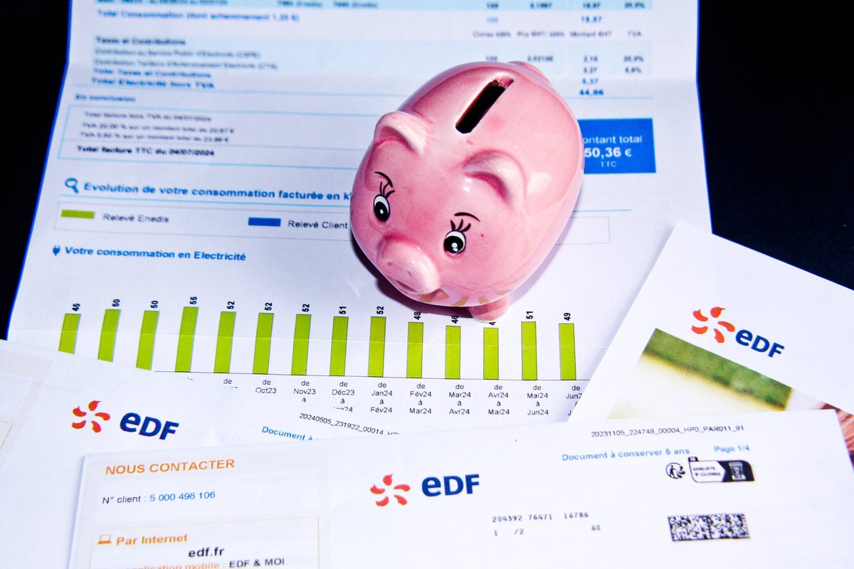 Hausse du prix de l’électricité : « c’est un choix du gouvernement » selon l’UFC Que Choisir
➡️ go.publicsenat.fr/ntm