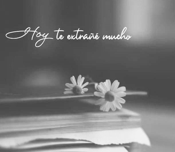 Escucha 
Mi voz 
 Que mi alma te sigue 

No escribí 
El encanto de tu risa 
      Me enamore 
     #haiku