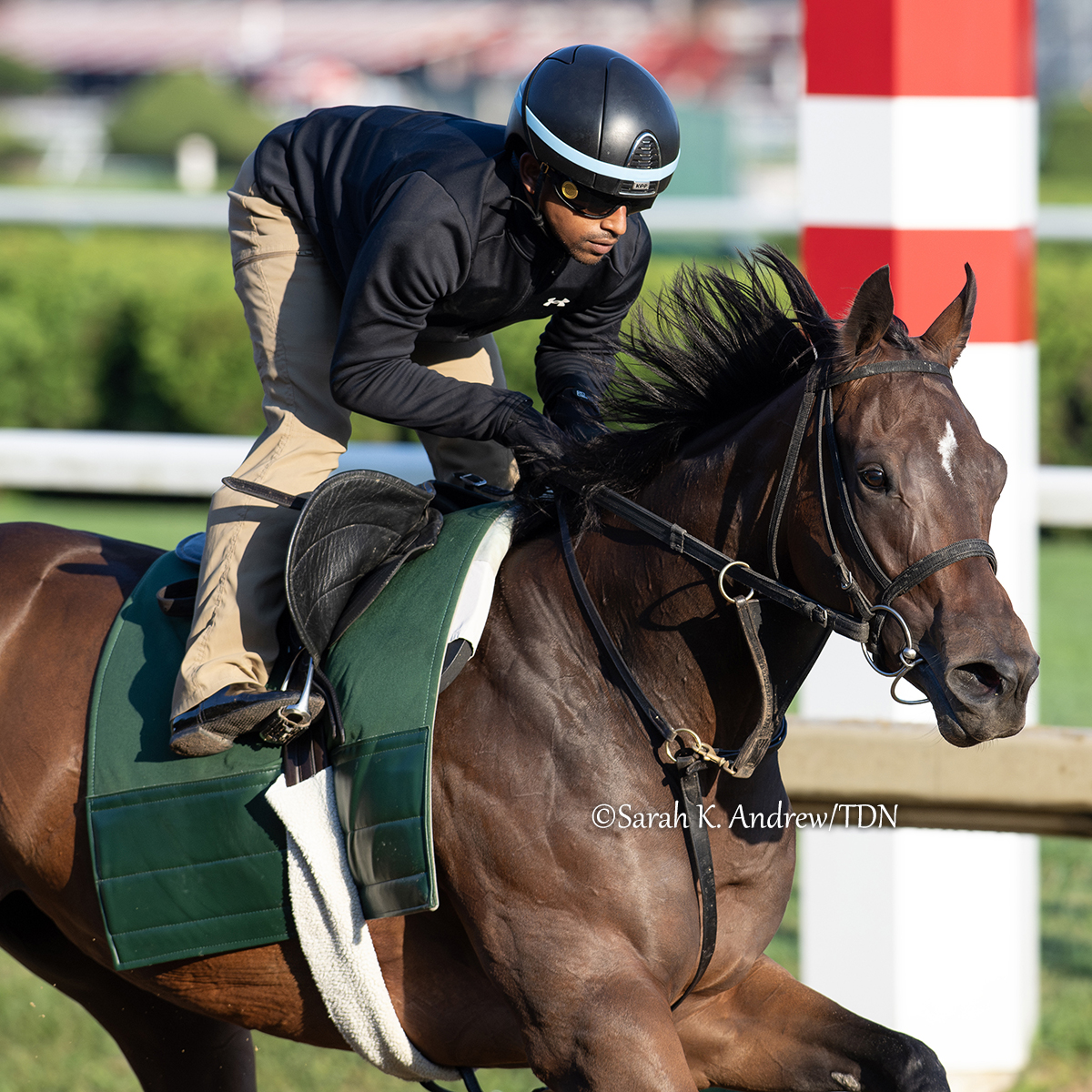 TDN (@thetdn) on Twitter photo Trainer Rusty Arnold sends out a formidable duo in Saturday's GI Test Stakes for 3-year-old fillies...
⭐️ ECHO SOUND (Echo Town), breaking from Post 6⃣, is already a two-time graded stakes winner in her last two starts and 5-for-6 overall
⭐️ KILWIN (Twirling Candy), breaking Trainer Rusty Arnold sends out a formidable duo in Saturday's GI Test Stakes for 3-year-old fillies...
⭐️ ECHO SOUND (Echo Town), breaking from Post 6⃣, is already a two-time graded stakes winner in her last two starts and 5-for-6 overall
⭐️ KILWIN (Twirling Candy), breaking