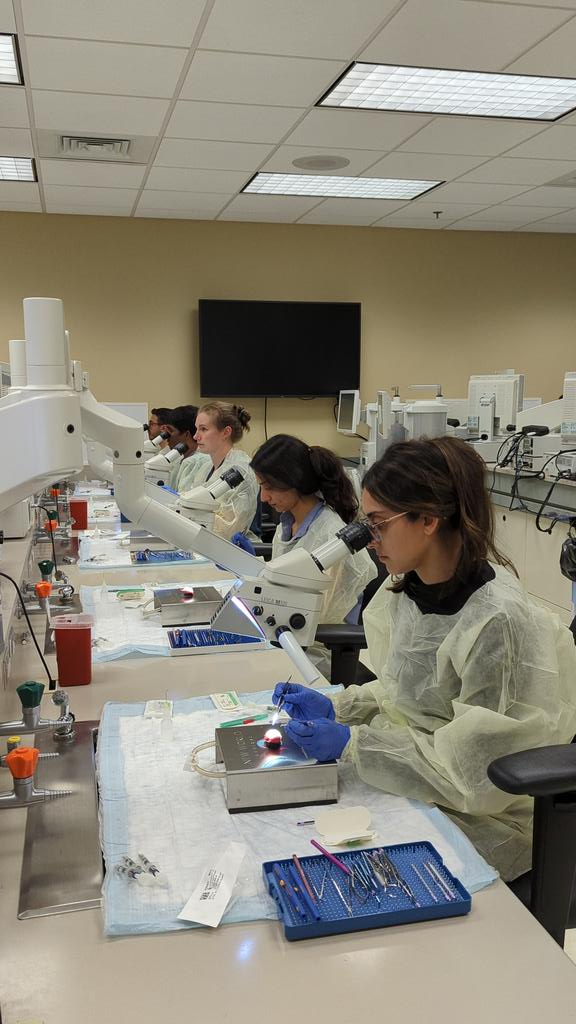 Crystal Lincoln tweet media