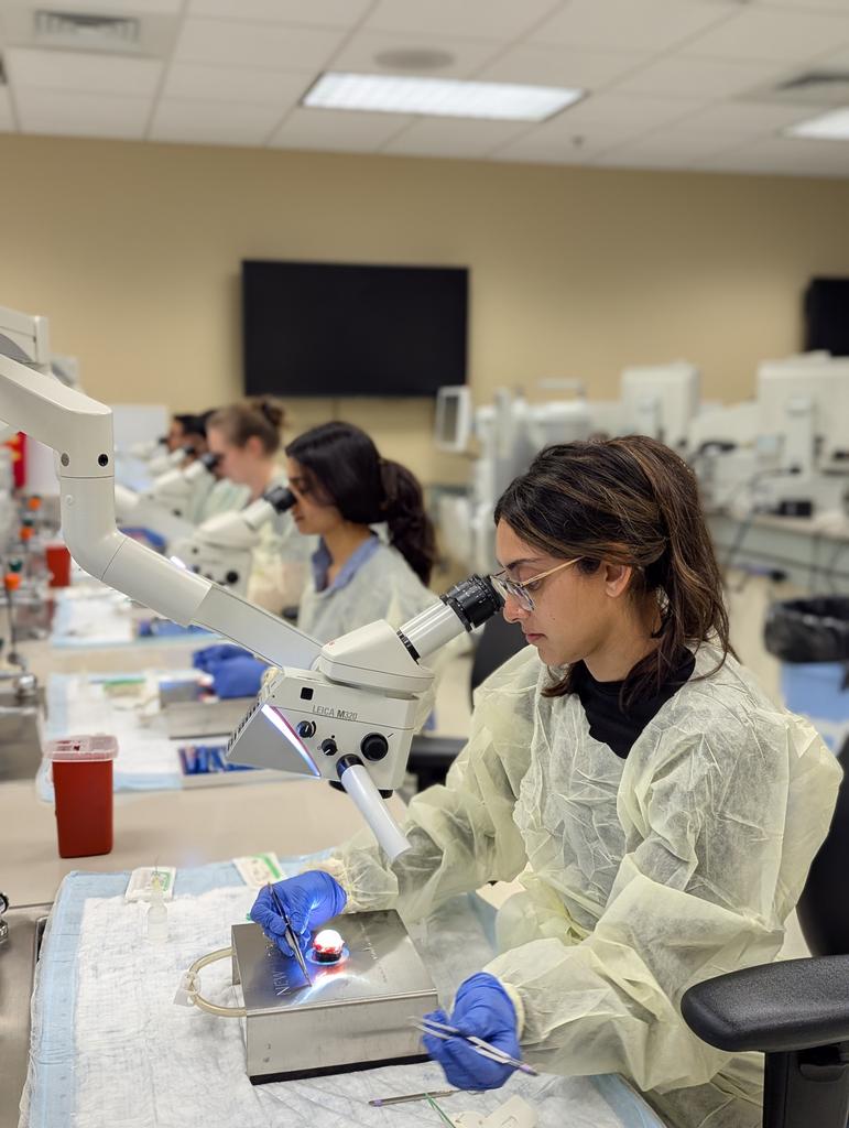 Crystal Lincoln tweet media