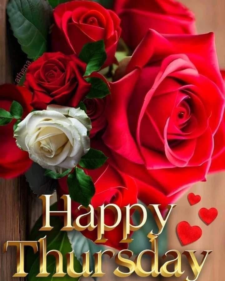 Ashis Kumar Sarkar (@ashisku77360421) on Twitter photo Thursday vibes❤️
<a href="/GeorgeYuhasz/">George Yuhasz</a> <a href="/SempaiGreg/">Gregory Alexander Sharp Author</a> <a href="/KaceyKells/">Kacey Kells</a> <a href="/Primrose771646/">GOD’S GIRL</a> <a href="/BeatriceLacy/">Beatrice Lacy</a> <a href="/AlbertaGirl34/">Lori Bauer🇨🇦🏒🥅🔥</a> <a href="/ionacrv/">Iona Morrison</a> <a href="/AlfredoGlezGL/">Alfredo Gonzalez 🇲🇽⚾🏈⚽🏀🏟️🎬📖📝</a> <a href="/sreelekha001/">Sreelekha Chatterjee</a> <a href="/MQuigley1963/">Melisa Quigley Author</a> <a href="/A_DiAngelo/">Anthony Di Angelo - Author</a> <a href="/awlasky/">Ann Wilmer-Lasky, Author ☮️ ❤️🐦</a> <a href="/henna6543/">henna</a> <a href="/charlypool222/">CH🅰️RLY & @Paloma7725 🇲🇽🧞♂️🇦🇷💙💛💙</a> <a href="/JoelFel2555694/">Joel Feldman Ph.D.</a> <a href="/MwitumwaKestine/">Siboniso kestine ♥️🌹</a> <a href="/Herre5187Irene/">Irene Herrera</a> <a href="/BrooklynMorganJ/">Brooklyn Morgan Johnson</a> <a href="/td_nash/">TD Nash</a> Thursday vibes❤️
<a href="/GeorgeYuhasz/">George Yuhasz</a> <a href="/SempaiGreg/">Gregory Alexander Sharp Author</a> <a href="/KaceyKells/">Kacey Kells</a> <a href="/Primrose771646/">GOD’S GIRL</a> <a href="/BeatriceLacy/">Beatrice Lacy</a> <a href="/AlbertaGirl34/">Lori Bauer🇨🇦🏒🥅🔥</a> <a href="/ionacrv/">Iona Morrison</a> <a href="/AlfredoGlezGL/">Alfredo Gonzalez 🇲🇽⚾🏈⚽🏀🏟️🎬📖📝</a> <a href="/sreelekha001/">Sreelekha Chatterjee</a> <a href="/MQuigley1963/">Melisa Quigley Author</a> <a href="/A_DiAngelo/">Anthony Di Angelo - Author</a> <a href="/awlasky/">Ann Wilmer-Lasky, Author ☮️ ❤️🐦</a> <a href="/henna6543/">henna</a> <a href="/charlypool222/">CH🅰️RLY & @Paloma7725 🇲🇽🧞♂️🇦🇷💙💛💙</a> <a href="/JoelFel2555694/">Joel Feldman Ph.D.</a> <a href="/MwitumwaKestine/">Siboniso kestine ♥️🌹</a> <a href="/Herre5187Irene/">Irene Herrera</a> <a href="/BrooklynMorganJ/">Brooklyn Morgan Johnson</a> <a href="/td_nash/">TD Nash</a>