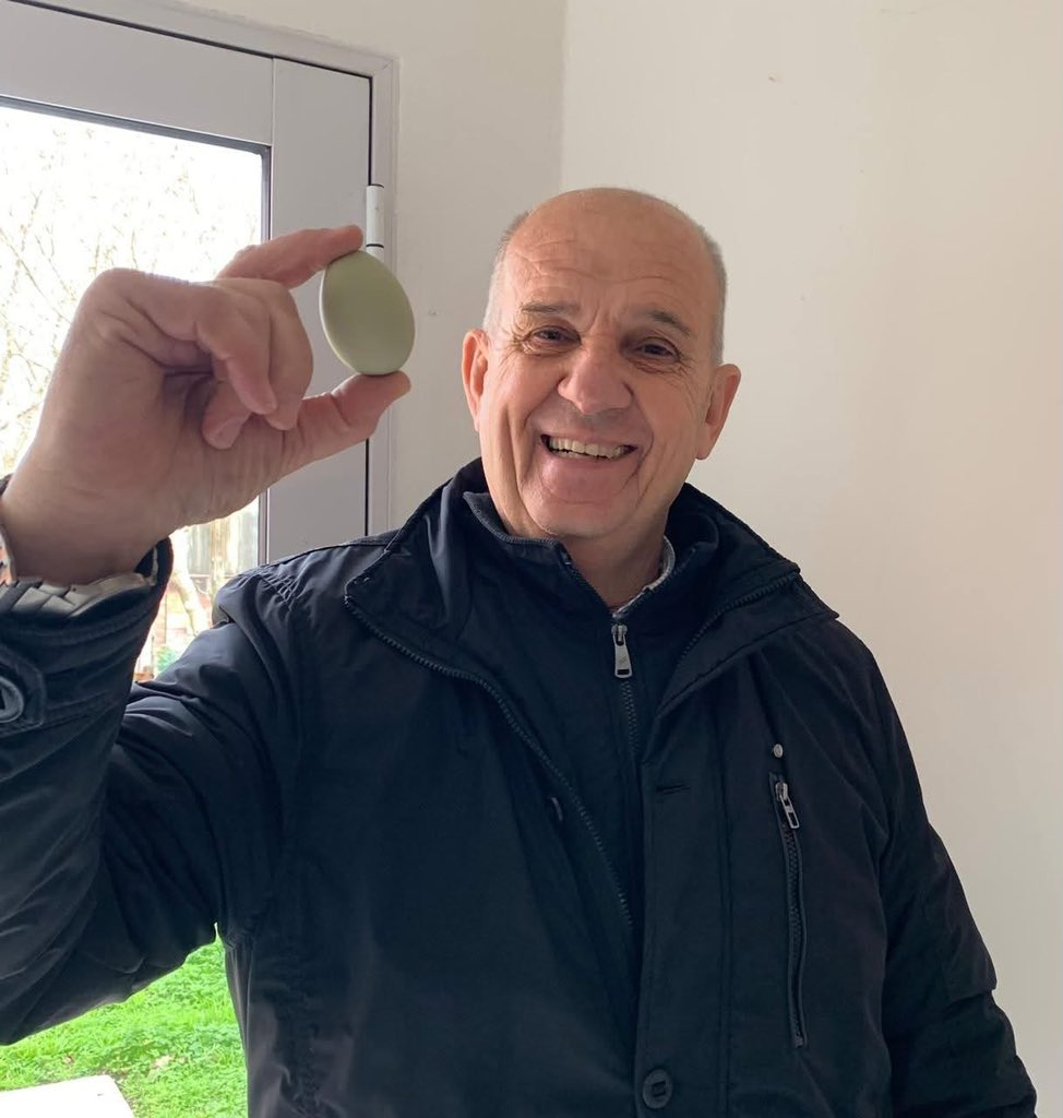 Una vecina me llamó cuando pasaba frente a su casa y me dijo que tenía algo para mostrarme.  Su gallina pone huevos verdes🟢.

Que lindo que sos Pehuajó!❤️.