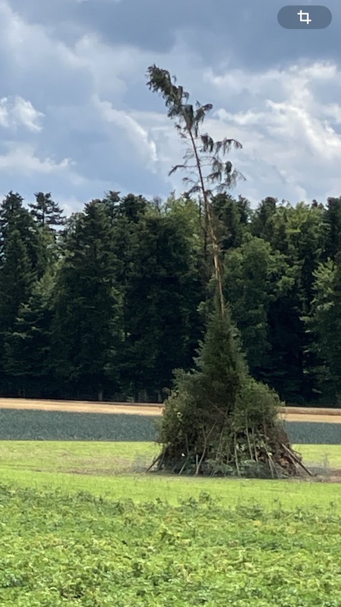 health-and-forest.org (@healthandforest) on Twitter photo Morgen (Nationalfeiertag CH) werden tausende solcher Haufen brennen & die Luft verschmutzen. Familien werden stundenlang mit den Kindern vor dem Feuer stehen & toxische Luft einatmen, die schon bei kurzer Exposition Gesundheitsschäden verursachen kann
#holzofengate <a href="/BAG_OFSP_UFSP/">BAG – OFSP – UFSP</a> Morgen (Nationalfeiertag CH) werden tausende solcher Haufen brennen & die Luft verschmutzen. Familien werden stundenlang mit den Kindern vor dem Feuer stehen & toxische Luft einatmen, die schon bei kurzer Exposition Gesundheitsschäden verursachen kann
#holzofengate <a href="/BAG_OFSP_UFSP/">BAG – OFSP – UFSP</a>